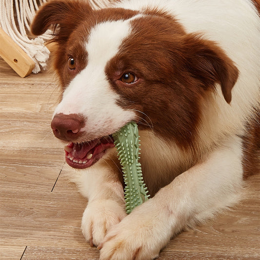 Chew Toys for Dog Teeth Cleaning | Durable & Effective Dental Care Toy for Dogs