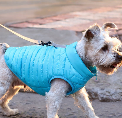 New Pet Dog Clothing | Autumn & Winter Full Nylon Zipper Puppy Jacket