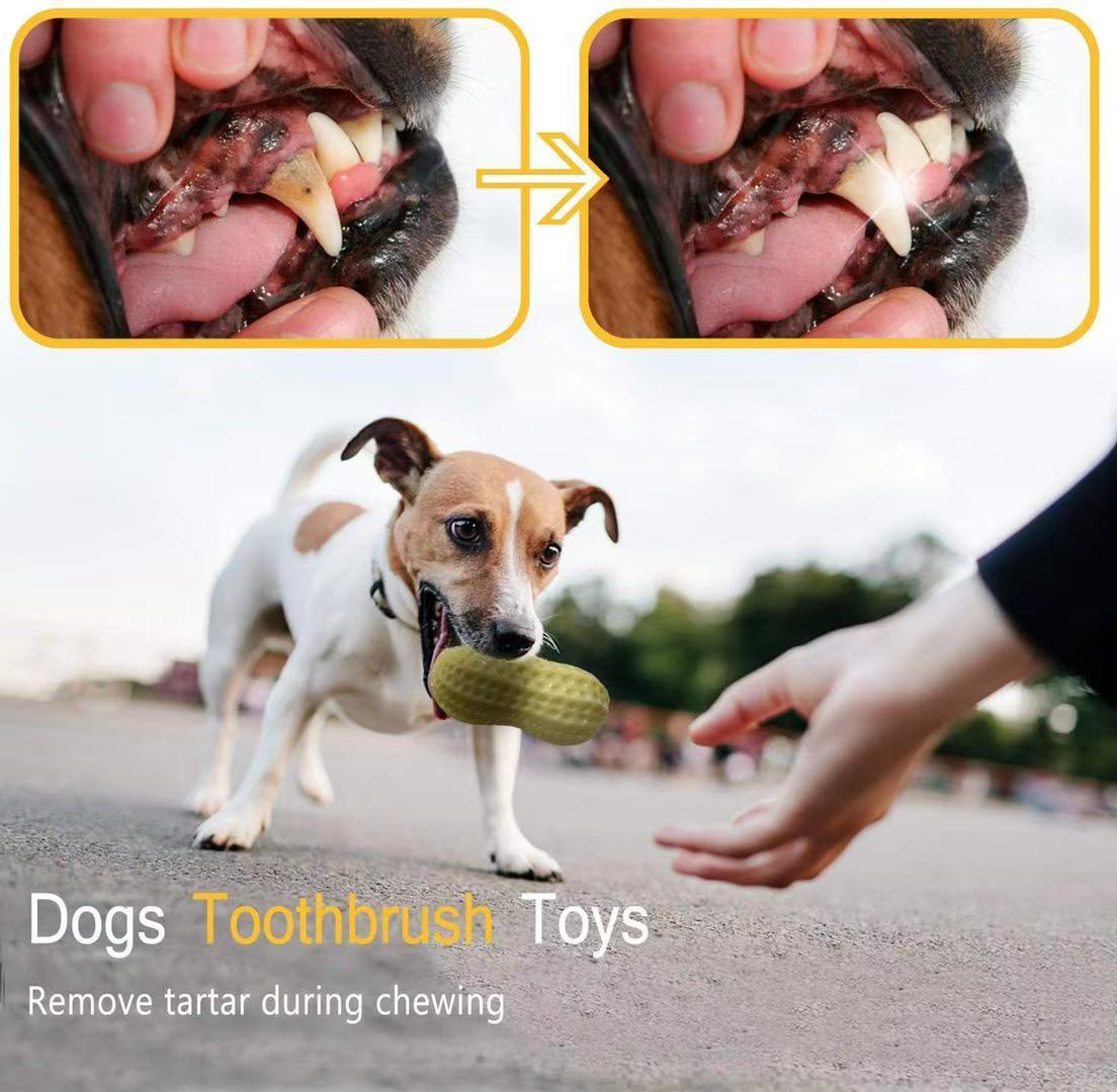 Funny Pet Dog Squeaky Toys | Bite-Resistant Rubber Peanut Chew Toy for Dogs & Puppies