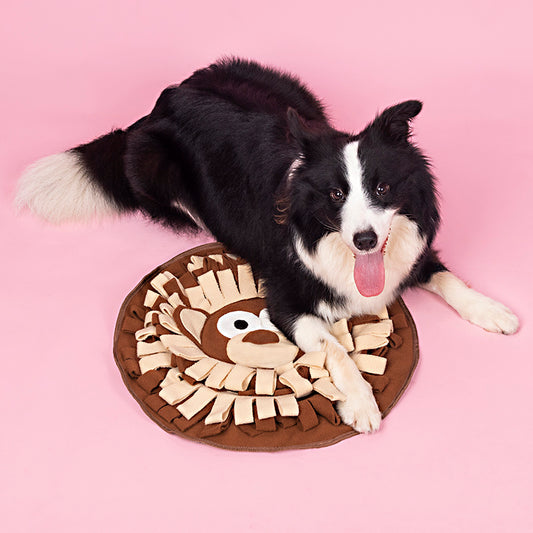 Dogs Snuffle Mat | Interactive Feeding & Puzzle Mat for Dogs & Cats