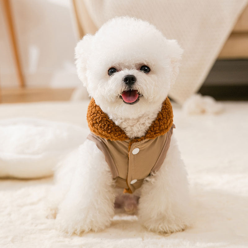 Korean Style Coffee Sweater | Cozy Winter Outfit for Small Dogs & Cats