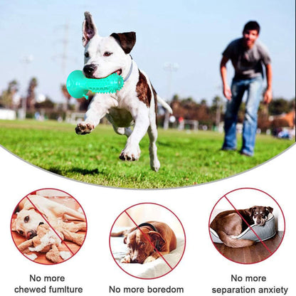 Different Functions Interactive Balls for Dogs | Squeaky & Teething Chew Toy Balls for Dogs