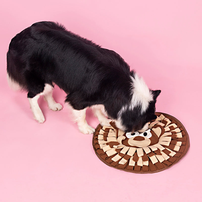 Dogs Snuffle Mat | Interactive Feeding & Puzzle Mat for Dogs & Cats