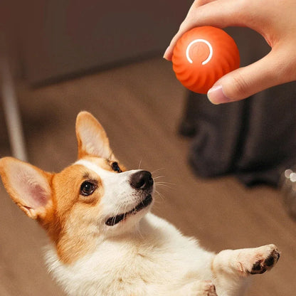 Smart Pet Play Ball | Interactive Motion-Sensing Toy for Active Pets