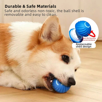 Smart Pet Play Ball | Interactive Motion-Sensing Toy for Active Pets