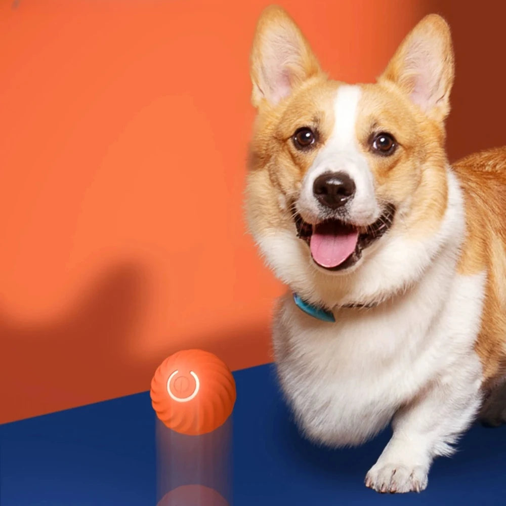 Smart Pet Play Ball | Interactive Motion-Sensing Toy for Active Pets