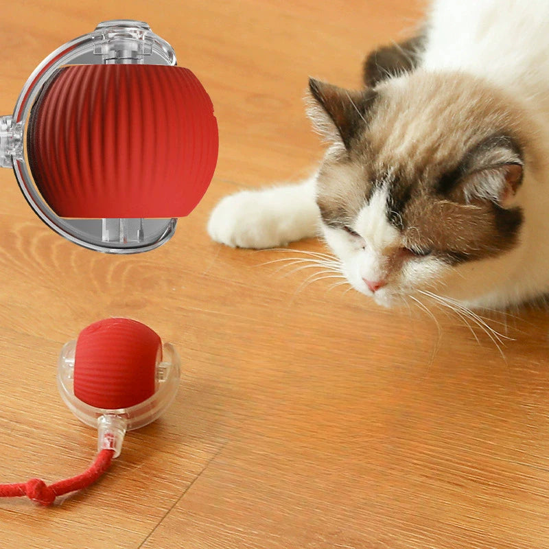 Whisker Wellness Play Ball | Fun & Interactive Toy for Cats