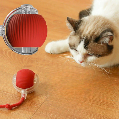 Whisker Wellness Play Ball | Fun & Interactive Toy for Cats