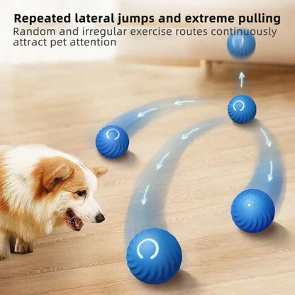 Smart Pet Play Ball | Interactive Motion-Sensing Toy for Active Pets