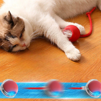 Whisker Wellness Play Ball | Fun & Interactive Toy for Cats