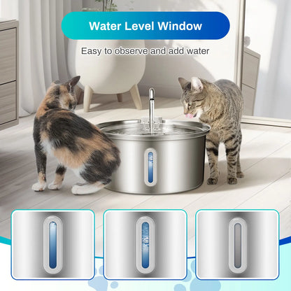 Healthy Hydration Kitty Fountain | Fresh Water Solution for Happy Cats