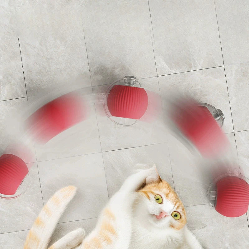 Whisker Wellness Play Ball | Fun & Interactive Toy for Cats